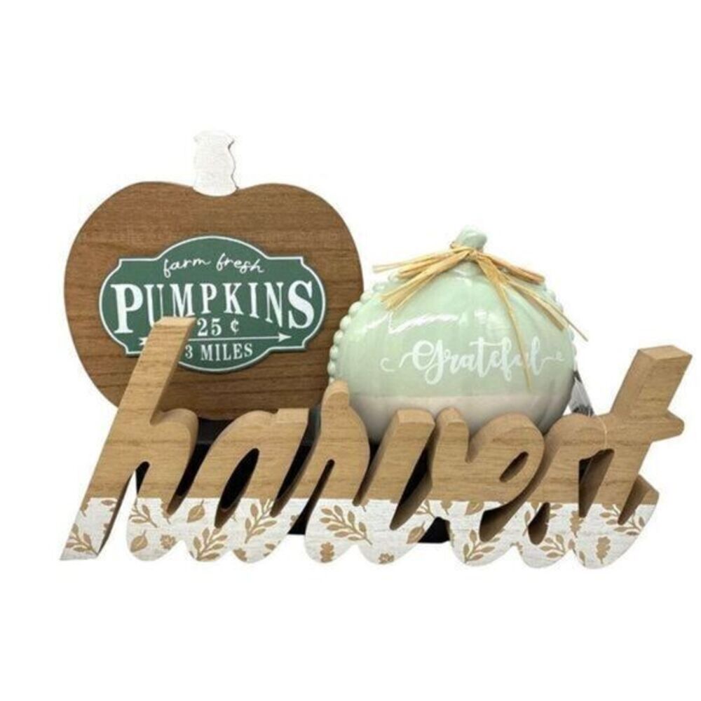 Farmhouse Harvest Wood and Ceramic Pumpkin Table Decor Set Of 3
